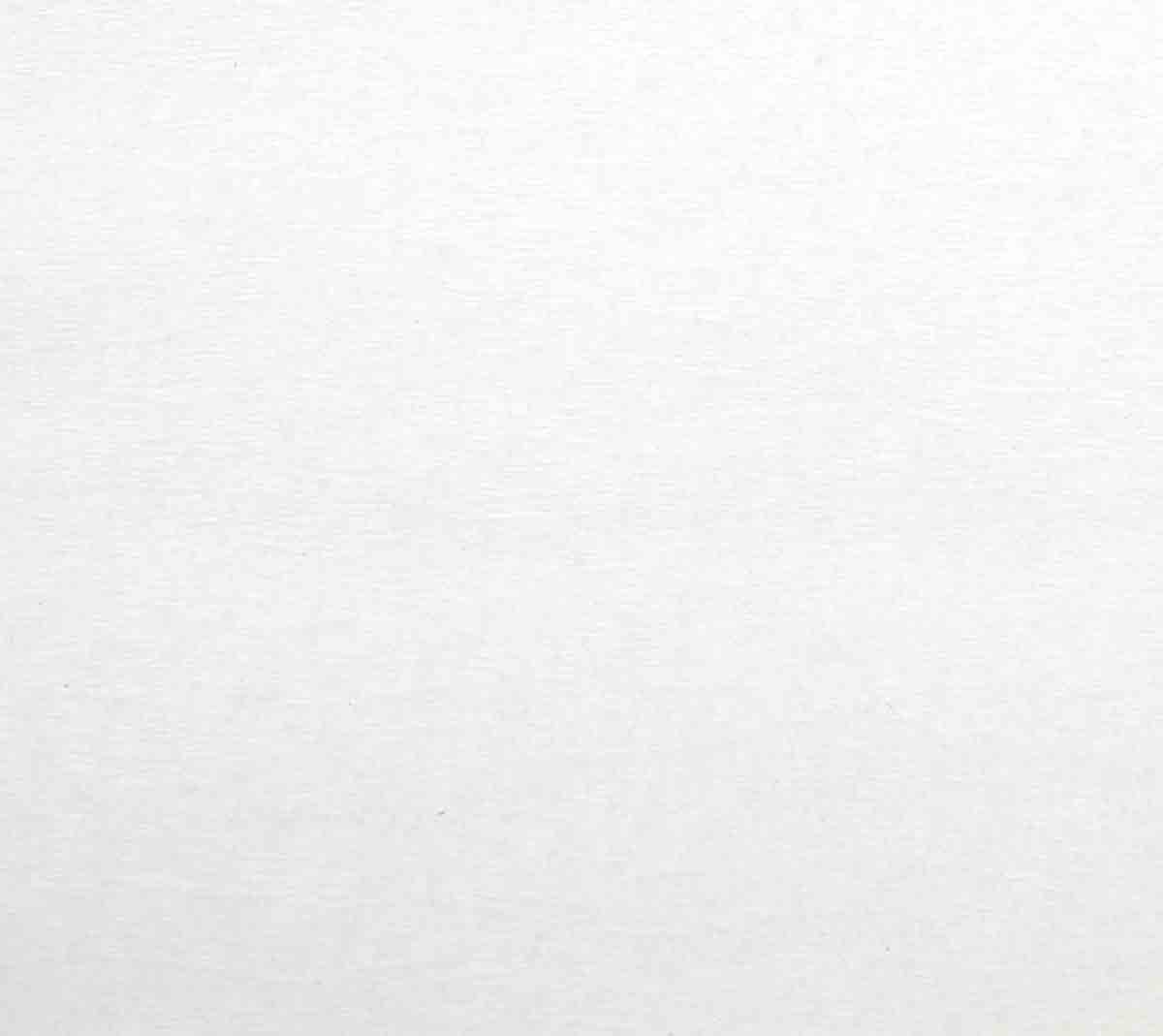 Papier crépon couleur blanc 50 cm x 200 cm (1 pièce) de Loisirs