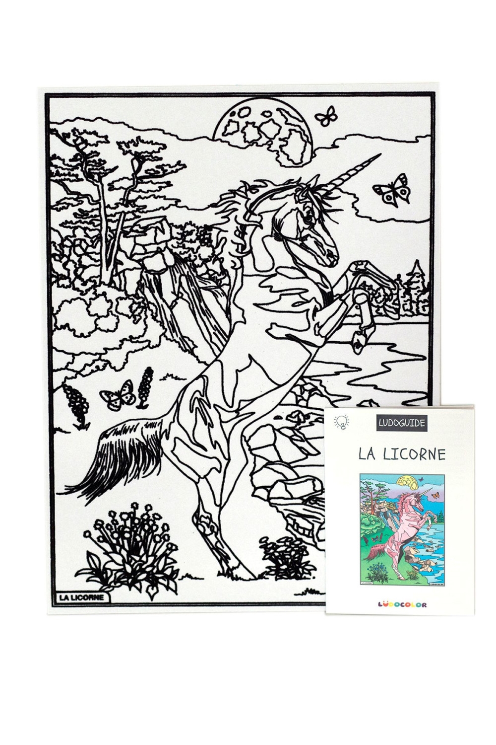 Tableau Velours à colorier Pour enfant La Licorne cascade LJE006