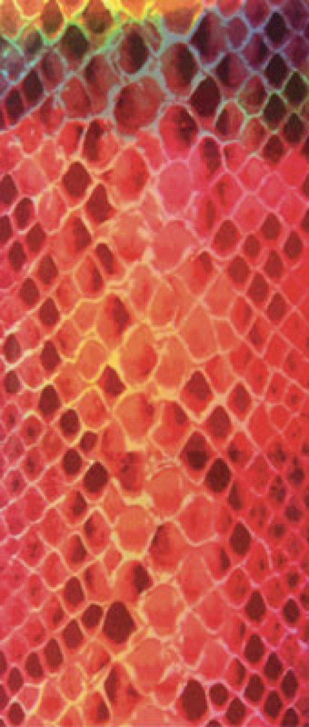 Tissu thermocollant Serpent cuivré 15x20cm