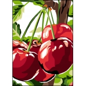 Canevas antique Les cerises 32x50cm